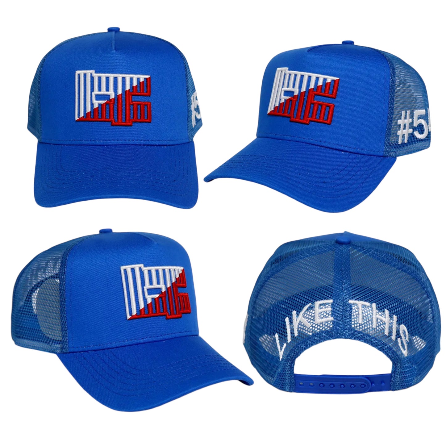 #54 Snapback