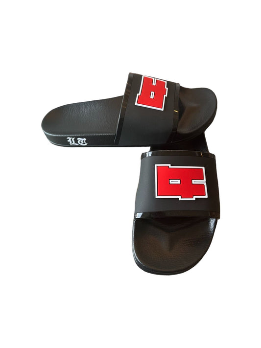 LT Slides